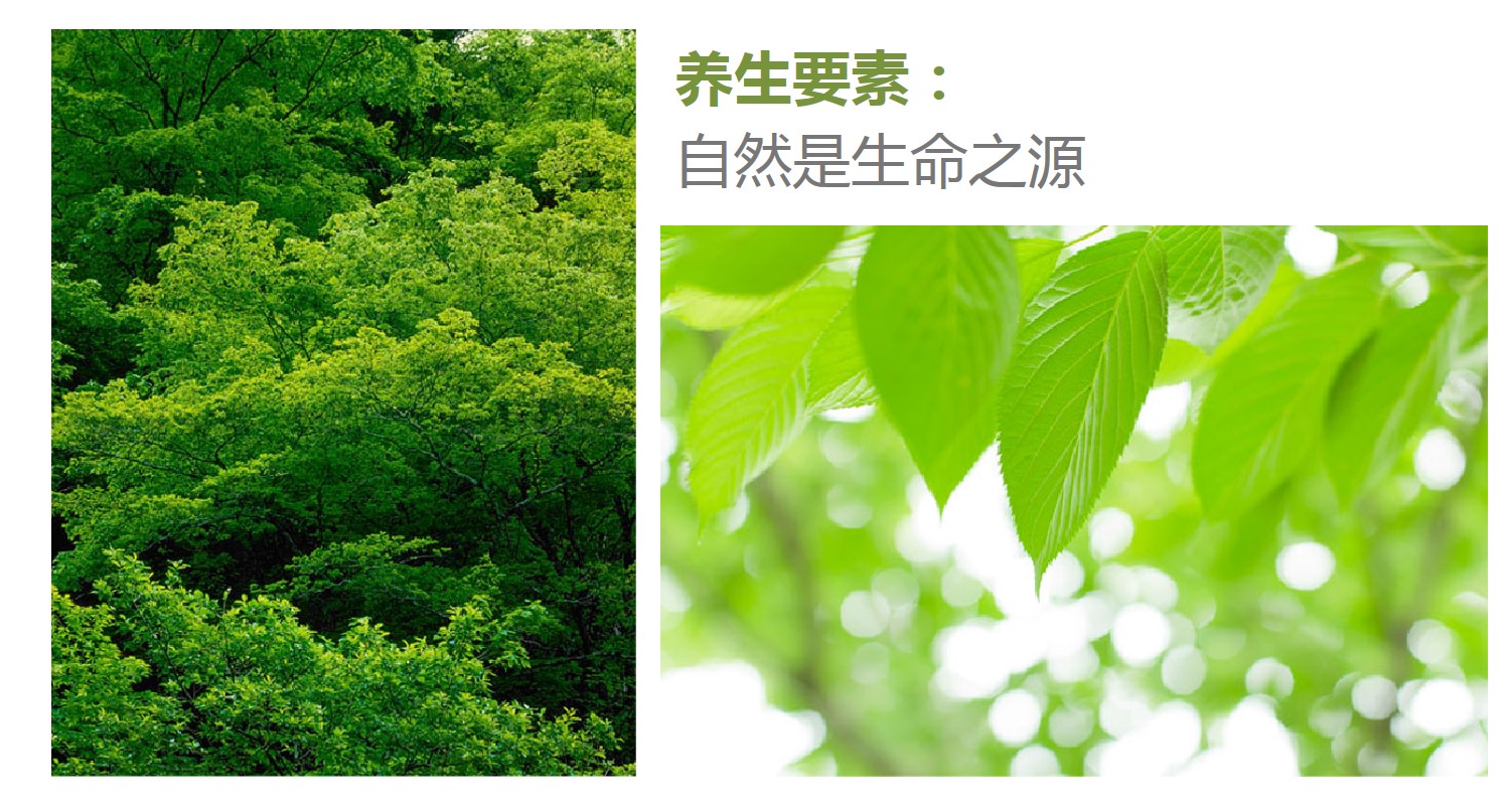 CdFBeMHmRkTX20ZVNJGOLlP7wMrsljlMLGYlnWFQ.jpeg CdFBeMHmRkTX20ZVNJGOLlP7wMrsljlMLGYlnWFQ.jpeg